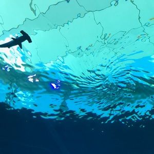 Meet your Posher, Spenser